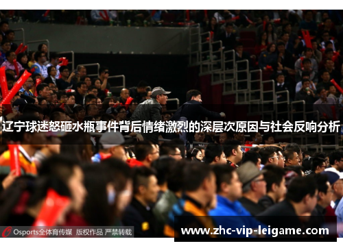 辽宁球迷怒砸水瓶事件背后情绪激烈的深层次原因与社会反响分析