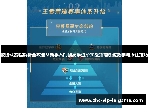 欧协联赛程解析全攻略从新手入门到高手进阶实战指南系统教学与投注技巧 欧协联赛程解析全攻略从新手入门到高手进阶实战指南系统教学与投注技巧