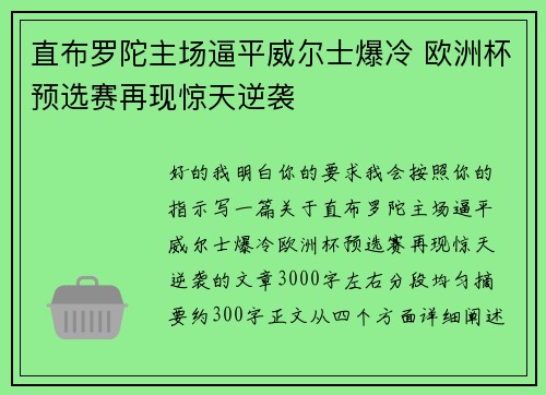 直布罗陀主场逼平威尔士爆冷 欧洲杯预选赛再现惊天逆袭
